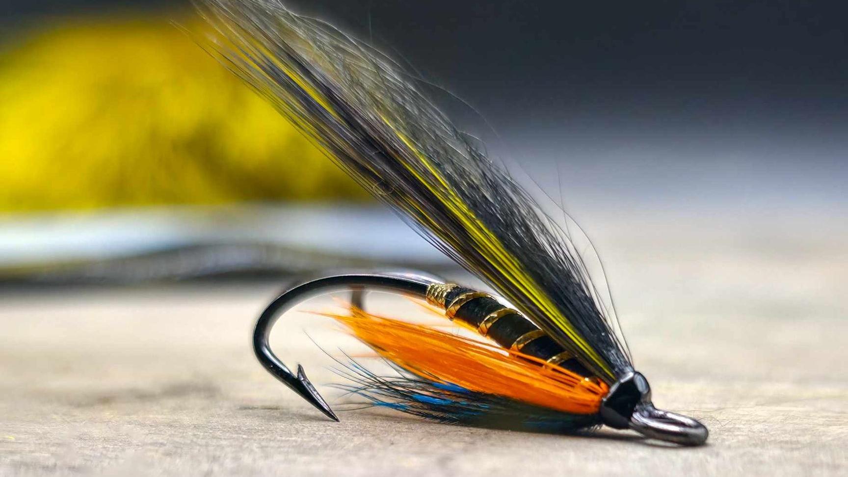 Shor Fish shorfishing | SHOR FISHING