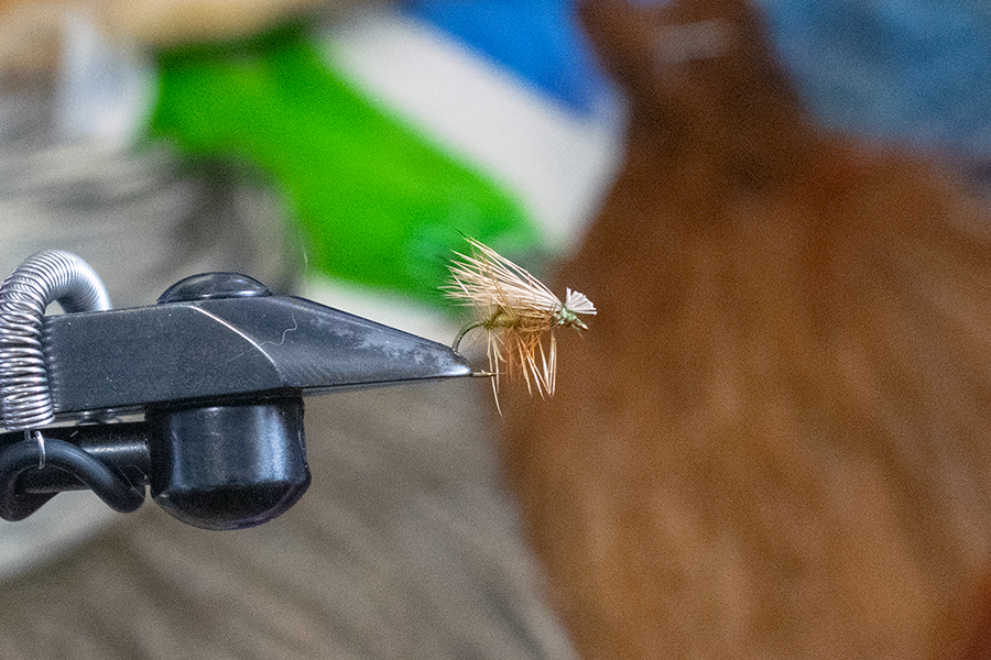 Elk Hair Caddis