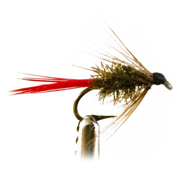 Brown Booby Head Deer Hair Sedge Hopper Brown Hackle fishing flies