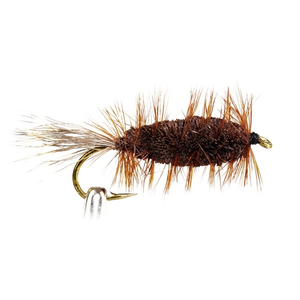 Brown Bug
