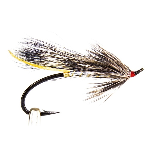 Silver Rat