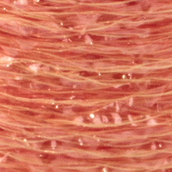 TEXTREME - ICE FIBER