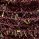 TEXTREME - MICRO CACTUS