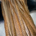 SHOR - GOLDEN PHEASANT TAIL FEATHER 24''