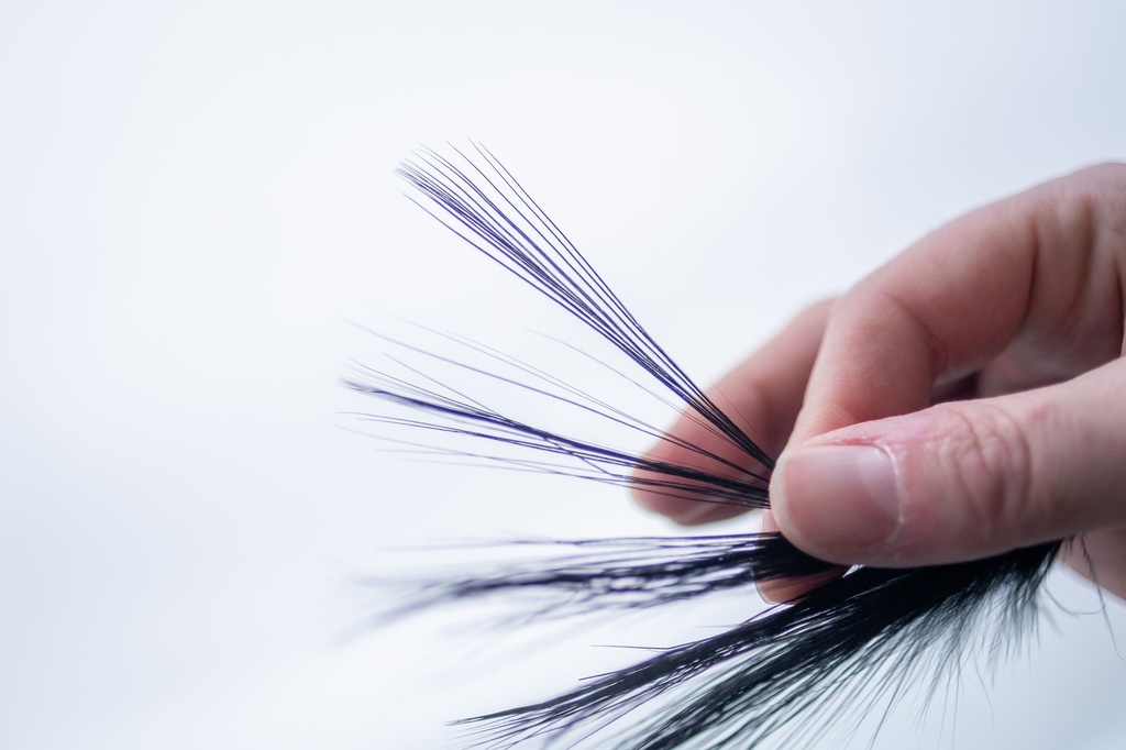 SHOR - HERON FEATHERS