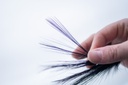 SHOR - HERON FEATHERS