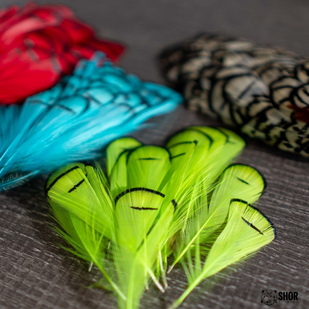 SHOR - LADY AMHERST TIPPET FEATHERS
