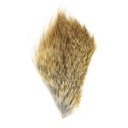 SHOR - RED FOX