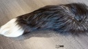 SHOR - SILVER FOX COMPLETE TAIL