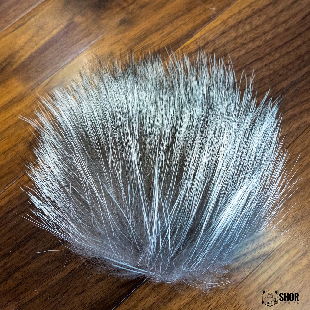 SHOR - SILVER FOX
