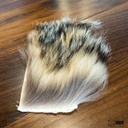 SHOR - BADGER