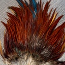 SHOR - ROOSTER SADDLE