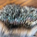 SHOR - GRAY FOX
