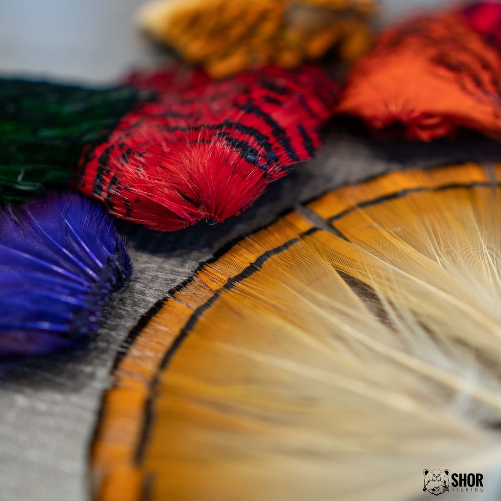 SHOR - GOLDEN PHEASANT TIPPET 12 FEATHERS