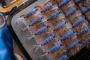 SHOR - DOUBLE-SIDED CLAMP FLY BOX