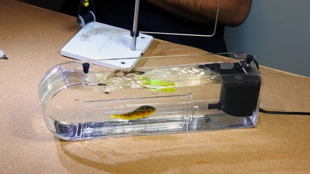 FLYMEN FLY TESTER