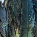 SHOR - IRIDESCENT BLACK SCHLAPPEN 5''-7''