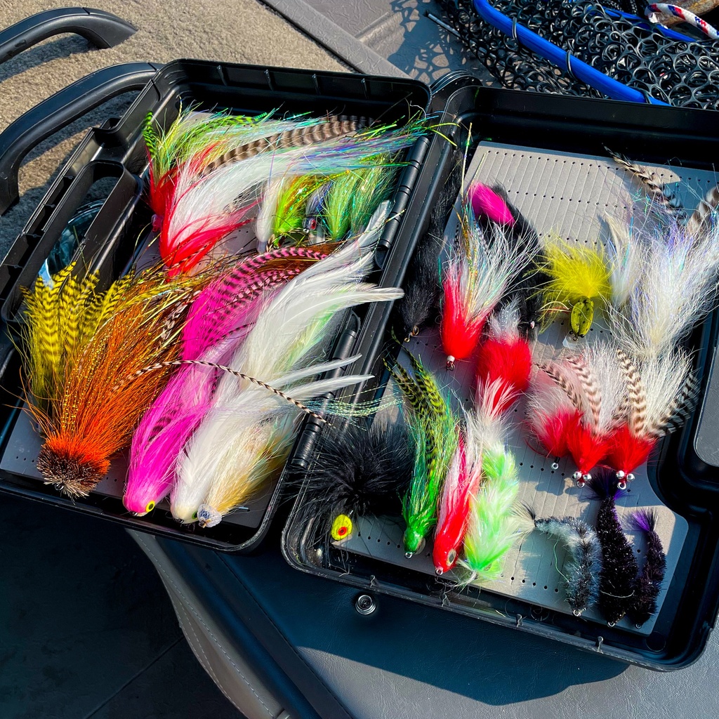 SHOR - PREDATOR FLY BOX