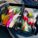 SHOR - PREDATOR FLY BOX