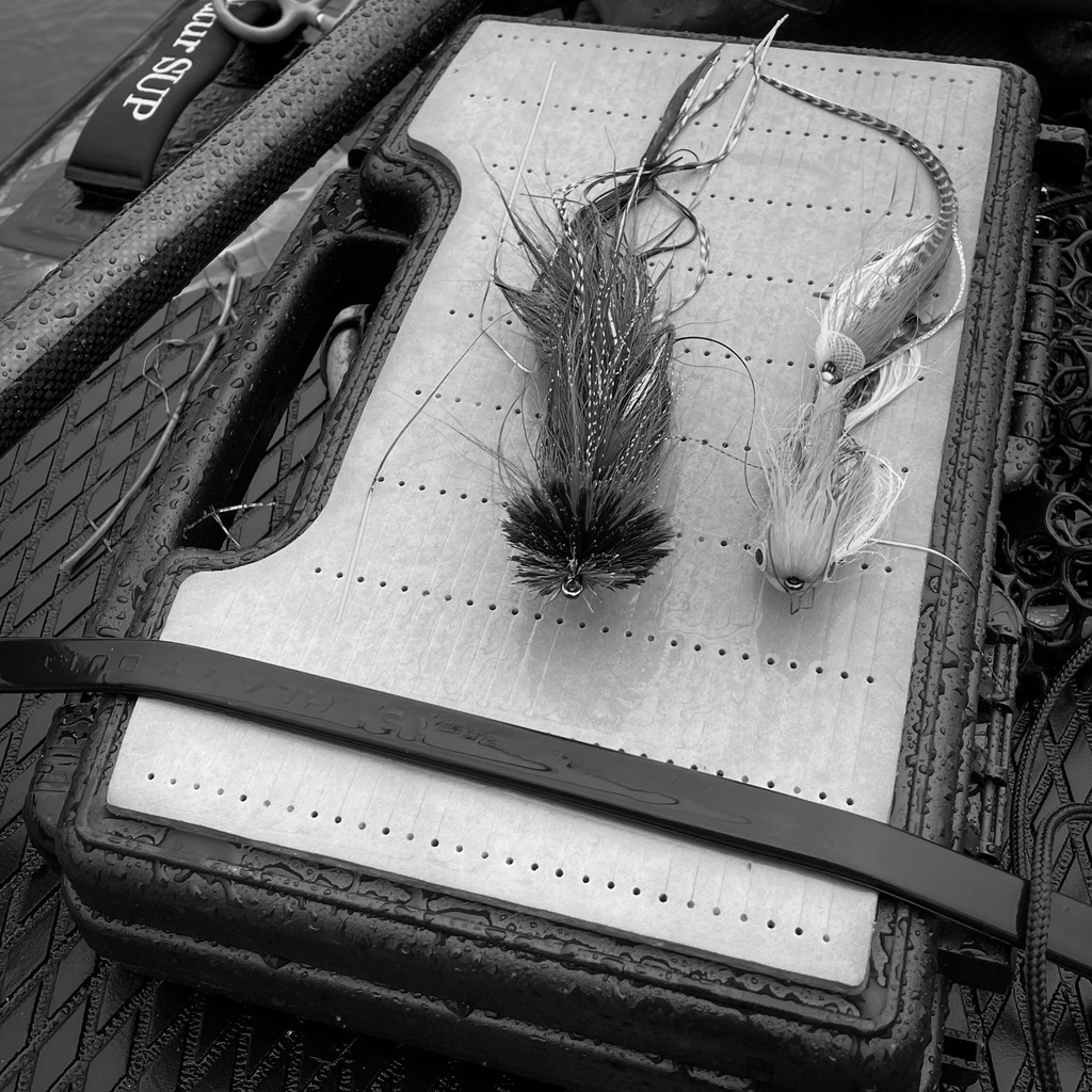 SHOR - PREDATOR FLY BOX
