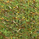 TEXTREME - SBRIGGLE LARGE