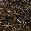 TEXTREME - SBRIGGLE LARGE