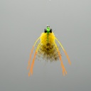 Golden Sand Crab