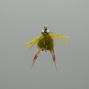 Kung Fu Crab - Olive & Tan