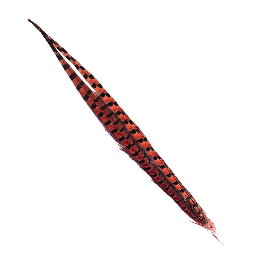 SHOR - RING-NECKED PHEASANT TAIL 18-20 IN (1 PR)
