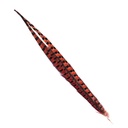 SHOR - RING-NECKED PHEASANT TAIL 18-20 IN (1 PR)