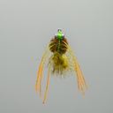 Olive Crab