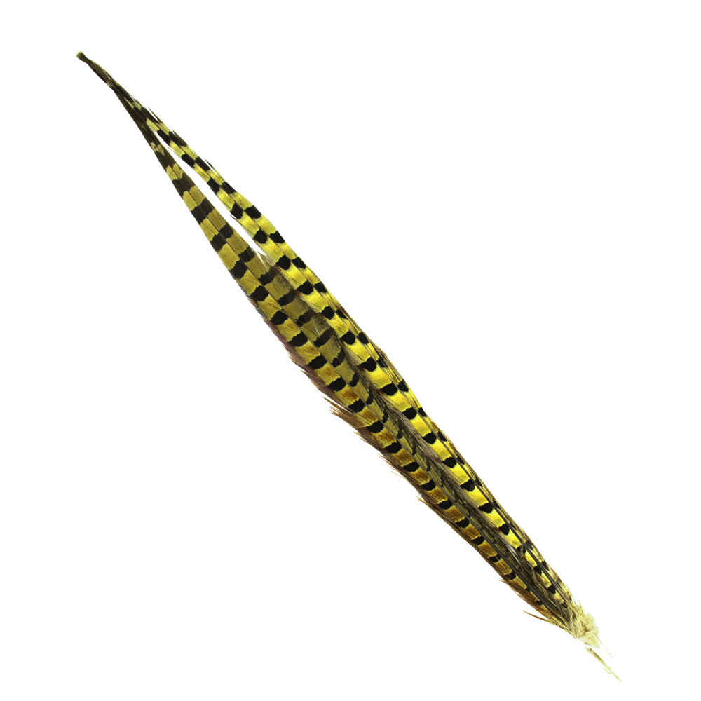 SHOR - RING-NECKED PHEASANT TAIL 18-20 IN (1 PR)