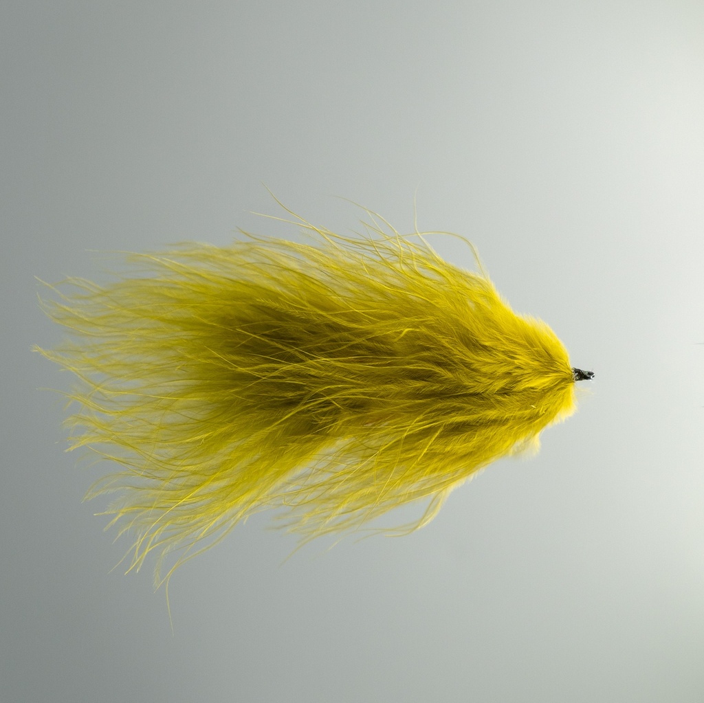 Galloup's TA leech OLIVE