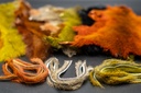 SHOR - PINE SQUIRREL SKIN