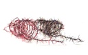 TEXTREME - UV WISP STRAGGLE
