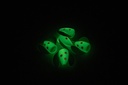 Glow Shot