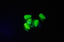 Chartreuse Bullet