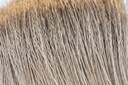 SHOR - RED DEER HAIR
