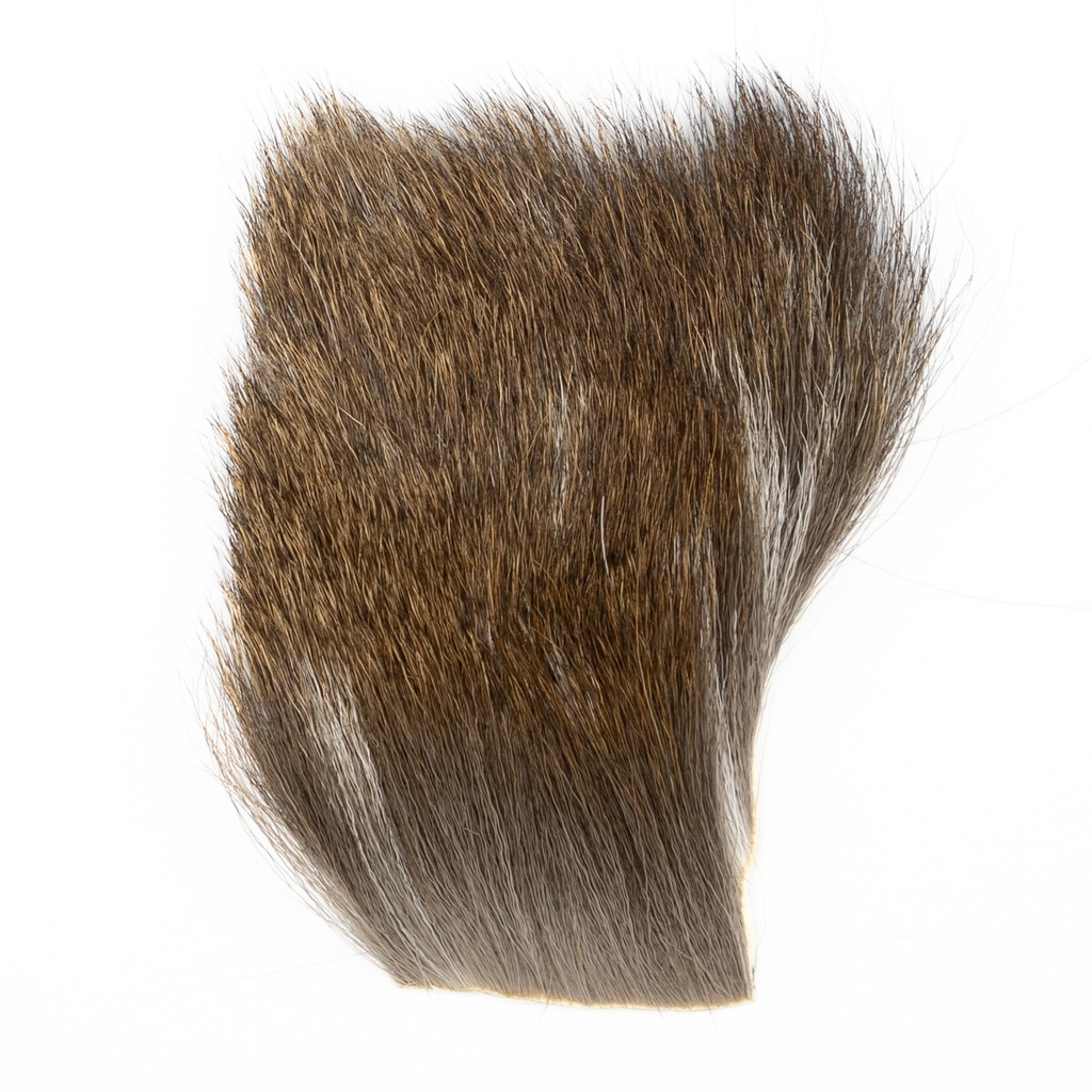 SHOR - FALLOW DEER BODY HAIR