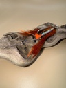 SHOR - PINE SQUIRREL ZONKER STRIP
