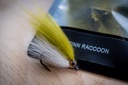 SHOR - FINN RACCOON