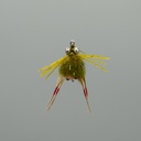 Kung Fu Crab - Olive & Tan