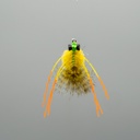 Golden Sand Crab