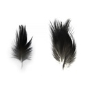 SHOR - HERON FEATHERS