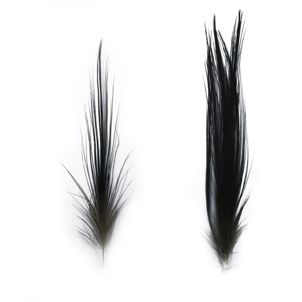 SHOR - HERON FEATHERS