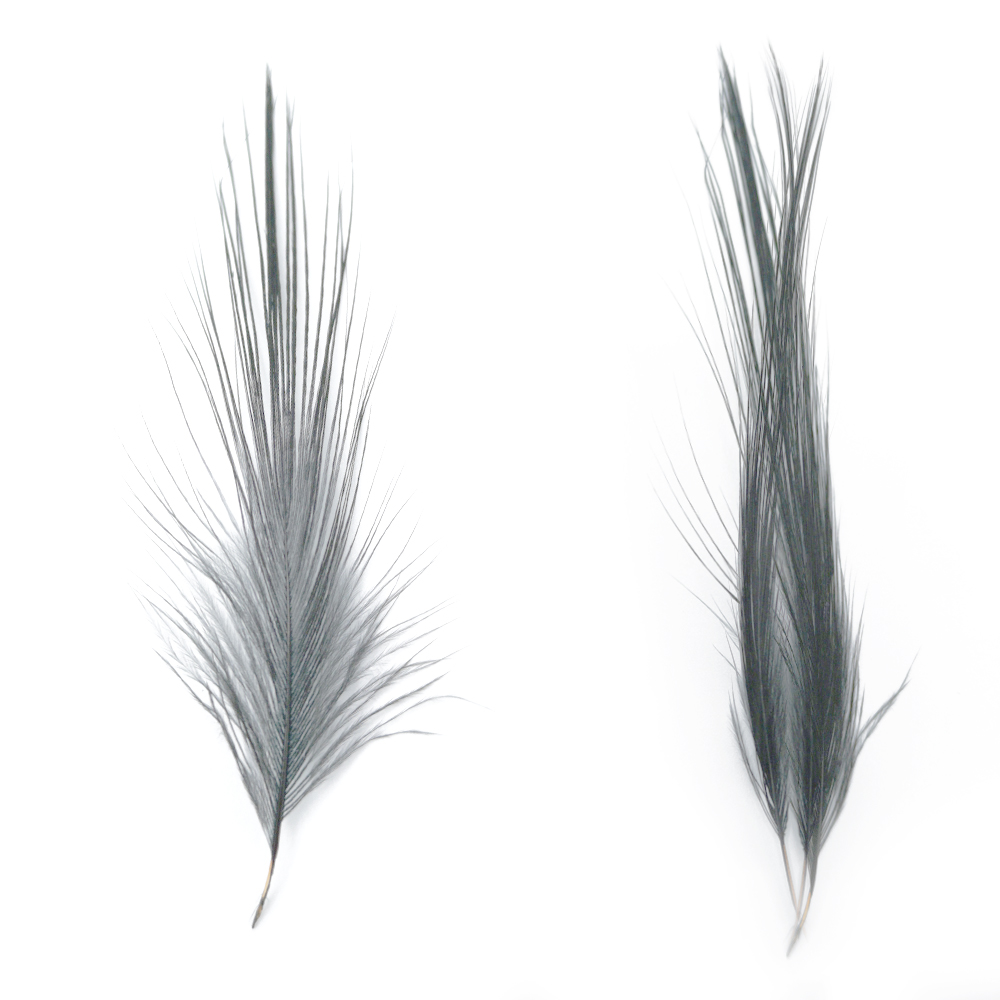 SHOR - HERON FEATHERS