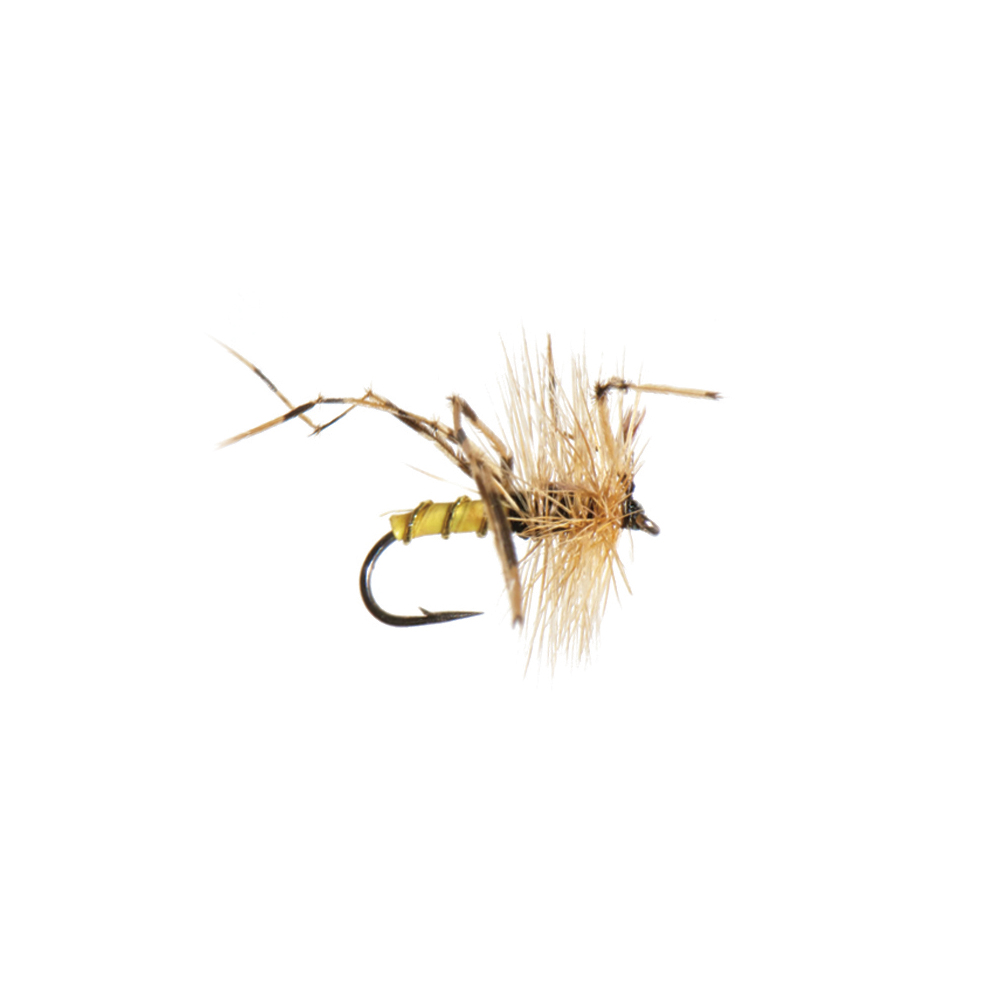 SHOR - DOUBLE KNOTTED RING-NECKED PHEASANT TAIL