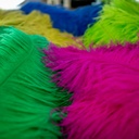 SHOR - OSTRICH