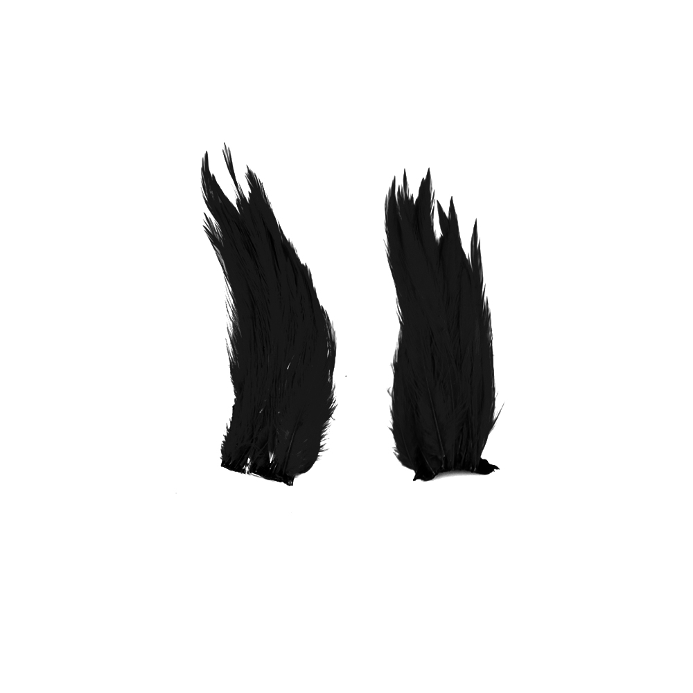 SHOR - GENETIC ROOSTER MINI-PACK