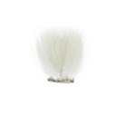 SHOR - POLAR BEAR